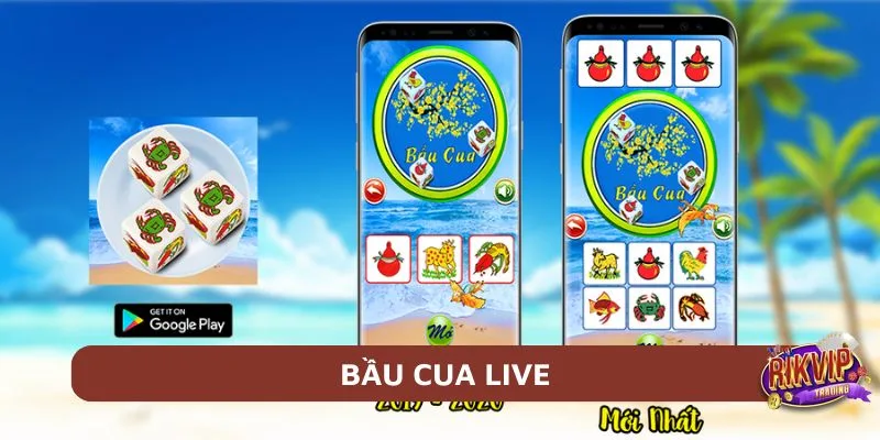 Trải nghiệm Bầu cua live cực đỉnh tại Rikvip